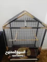  4 مطير ببغاوات حديد تفصيل
