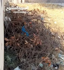  1 متفرقات للبيع في اربد