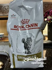  1 اجود أنواع الدراي فود royal canin للقطط التي كانت تعاني بحصر البول يقوم بتحطيم الحصوات التي تسبب حصر