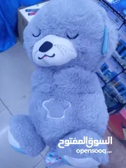  5 دبدوب يتنفس  دب