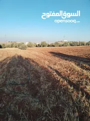  5 مزرعه مساحه 3400 م للبيع مفروز قوشان مستقل رحاب بالقرب من طريق اربد الزرقاء واصل جميع الخدمات