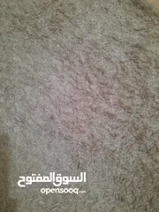  14 سجاد مش مستعمل كثير وسجاد عادي وعدة اغراض بسعر مناسب استفسار عن الاسعار وسجادة شاغي بيج 4ب2 ممتازة