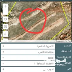  2 ارض في نابلس . الجبل الشمالي اراضي بلاطة . متصلة بالشارع الدائري حول نابلس