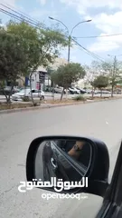  12 محلات تجارية للبيع
