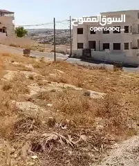  7 ارض سكنية على شارعين وباطلالة مميزة للبيع شفابدران عيون الذيب  700 م قرب مسجد صرفند من المالك مباشرة
