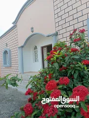  1 House for rent in Al-Juffairah   بيت للايجار في الجفره