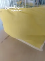  5 عصافير الجنه للبيع