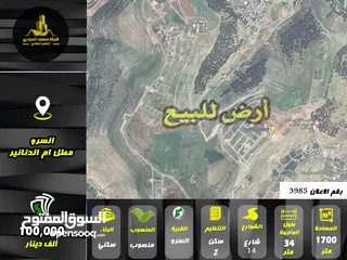  1 رقم الاعلان (3985) ارض سكنية باطلالة بانورامية للبيع في منطقة السرو