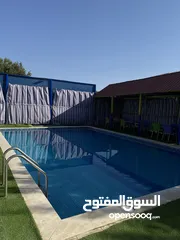  22 مزرعه شم النسيم للإيجار في بيرين صروت