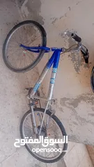  1 بسكليت نوع امريكي