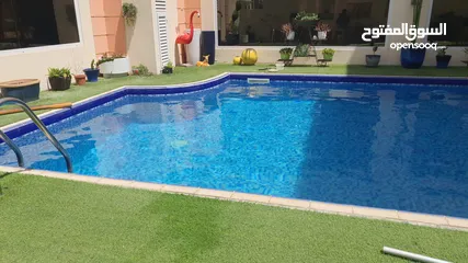  25 Swimming Pool Maintenance & Cleaning & MEP work