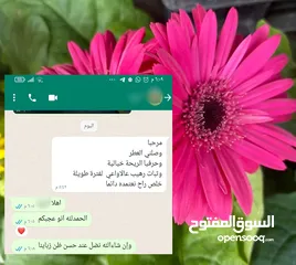  27 عطور أوزاريج الإماراتية الأصلية للرجال والنساء ..