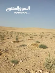  18 عشره دنمات للبيع