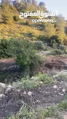  3 ارض للبيع مخطط طابو كشأن جاهز من مجاميعه سعرها رخيص من المالك نفسه الله يطرح البركه لصاحب النصيب