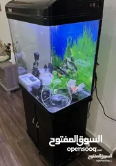  5 احواض سمك زينه بأحجام مختلفة -Fish tank aquarium