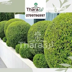  2 تصميم و تنسيق و صيانة الحدائق و شبكات الري
