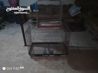  3 مطير للبيع