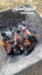  5 فحم مشاوي نخب اول للتصدير