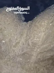  5 بدله عرس للبيع