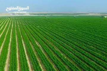  5 برنامج تعليم وتدريب  ( نخبة التداول والاستثمار ) الاخترافي