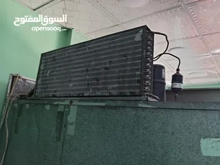  3 ثلاجة تخزين عابدين فل الفل
