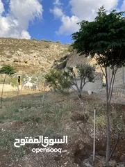  26 مزرعة في مغاريب السلط من المالك مباشرة