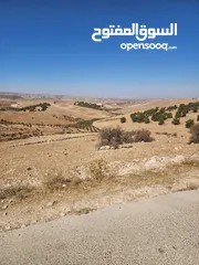  2 30 دنم جرش قفقفا طريق اربد عمان