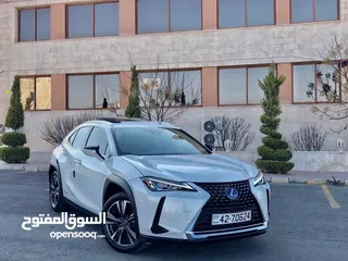  1 2019 Lexus UX  F sports