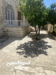  23 منزل للإيجار استثماري اوسكني