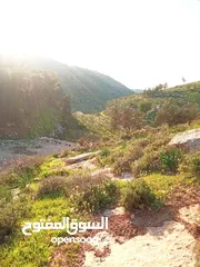  1 ارض للبيع في دورا الصره