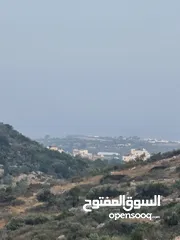  5 فرصة ارض للبيع بسعر مغري في طولكرم