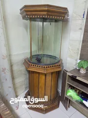  1 حوض سمك للبيع حجم كبير   160 سم
