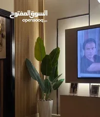  11 حرفتي يقدم لكم مجموعة من أشجار الزينة المميزة وبأسعار مميزة  نحن مختصون في الديكورات المنزليه