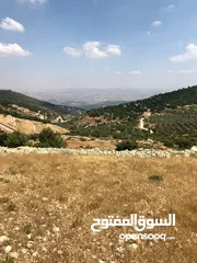  15 أرض ممتازة في جرش للسكن و للزراعة بقرب أحراش الدولة و سعر مغري  للمزيد من المعلومات اقرأ الوصف