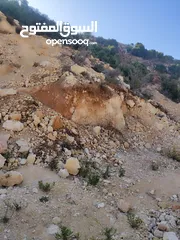  6 ارض للبيع 1000 متر طابو ابو نجيم