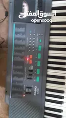  14 بيانو CASIO للبيع