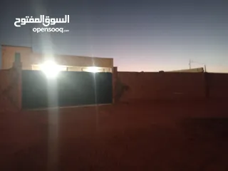  11 معمل اجبان أو مخللات