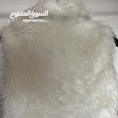  3 جاكيت فيست فرو اوف وايت. تركي ثقيل وجودة عالية جدا. يلبس تحته بلوزة او قميص. سعره 10 شيكل بدل 80