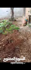  16 بيت ومنازل للبيع