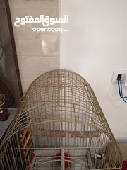  4 قفص كاسكو حجم كبير