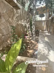  1 شقة ارضية للبيع