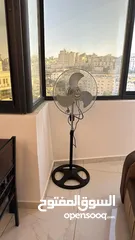  6 شقق ابو حمااااااااد المفروشه للإيجااااااااار اليومي والشهري