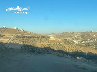 6 قطعة ارض للبيع ( ام رمانة )  واصل جميع الخدمات (حي القاسم )