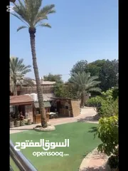  22 فيلا الاحلام