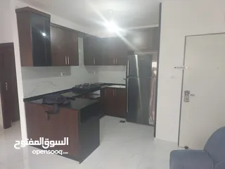  1 شقه مفروشه بالماصيون سوبر ديلكس