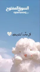  3 اعلان شقة إيجار  مفروشة