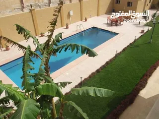  5 مبني تجاري \ ادراي \ دوبلوماسي لايجار علي البحر ابونواس / السياحية building to rent Sea view