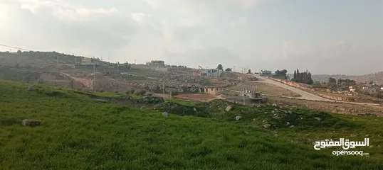  5 ارض 201متر بالكمشه للبيع