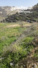  9 قطعة نص دونم دورا