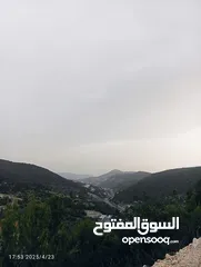  3 بيت العز والكرم
